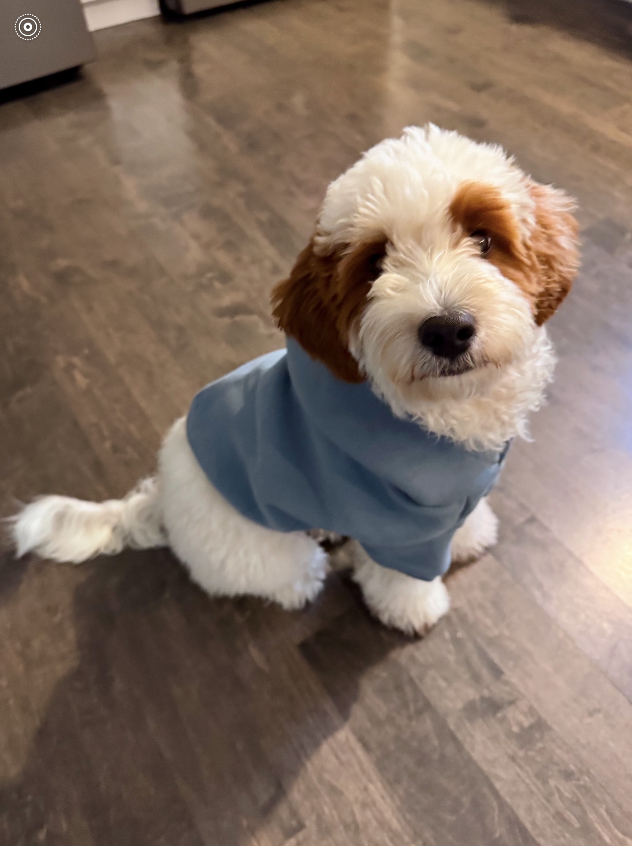 Oakley