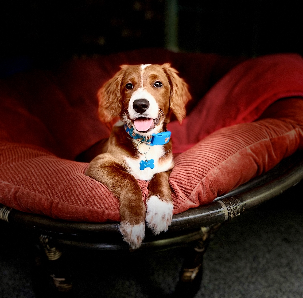 Max